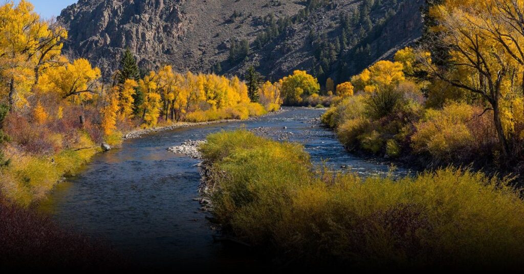 Fryingpan River
