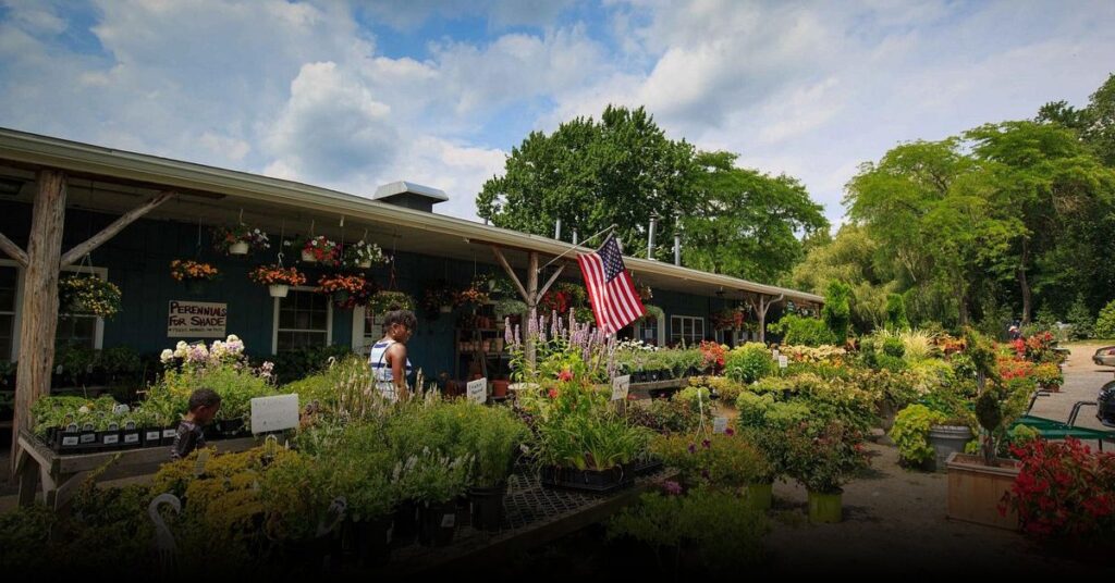 Harvest Moon Farm & Orchard (North Salem)