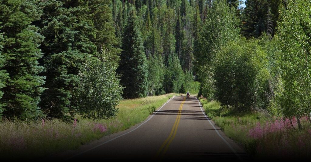 Kaibab Plateau–North Rim Parkway
