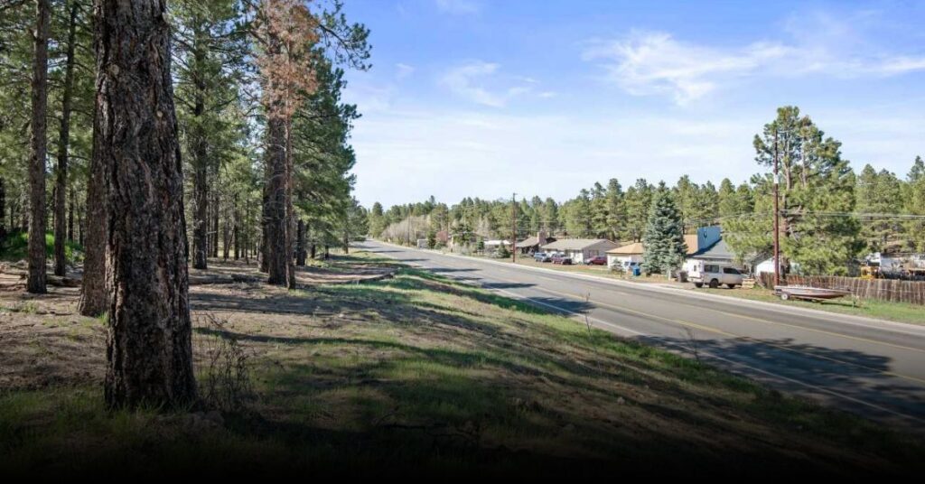 Lake Mary Road Scenic Drive