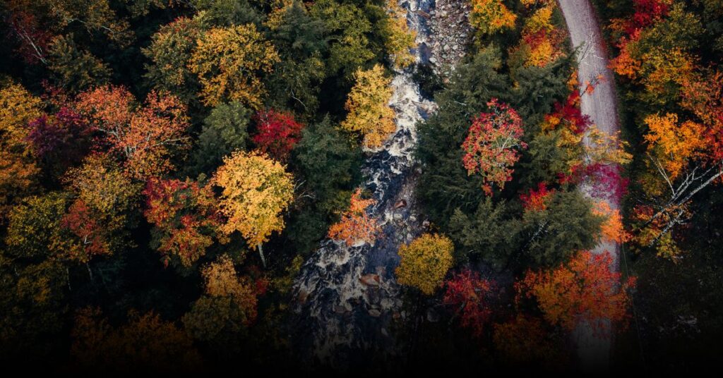 Manchester vermont fall foliage 2025