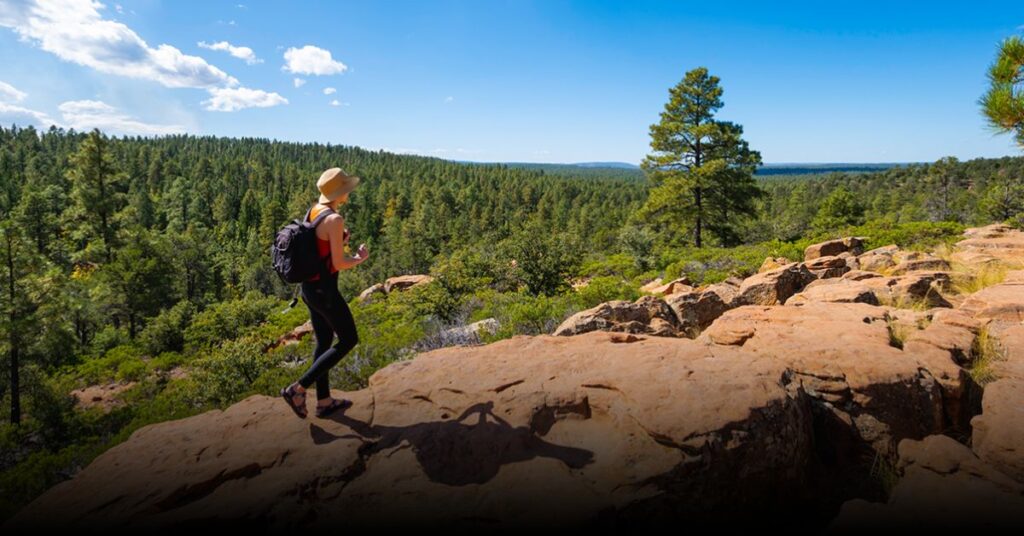 Mogollon Rim Scenic Drive (Forest Road 300)
