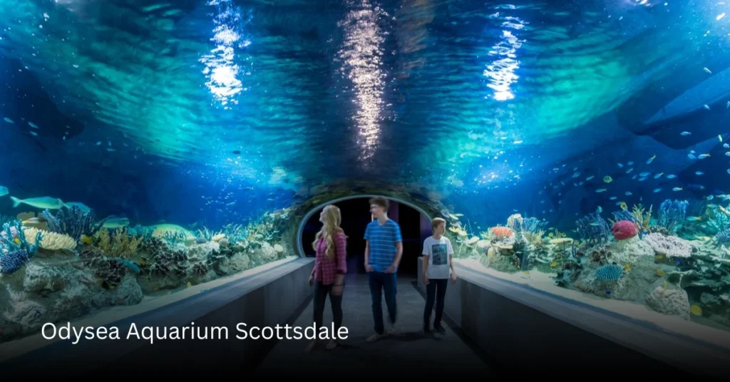 Odysea Aquarium Scottsdale