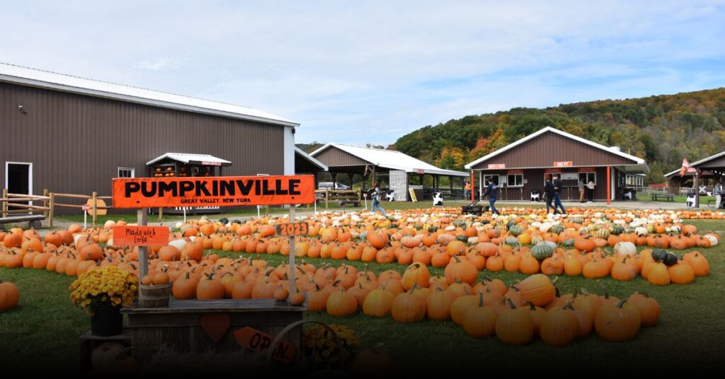 Pumpkin Ville (Green Valley)