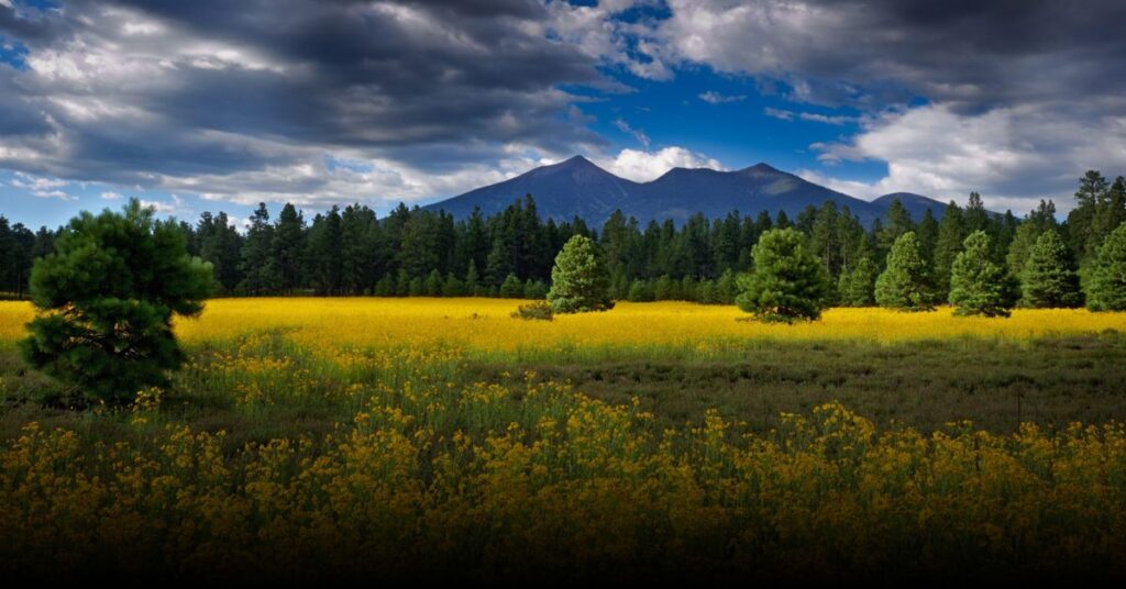 San Francisco Peaks