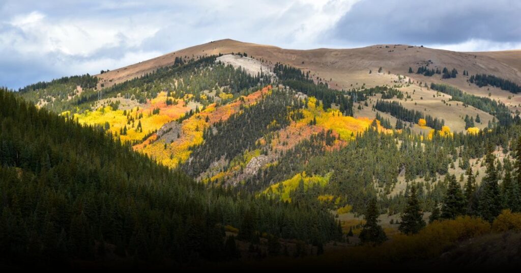 San Isabel National Forest