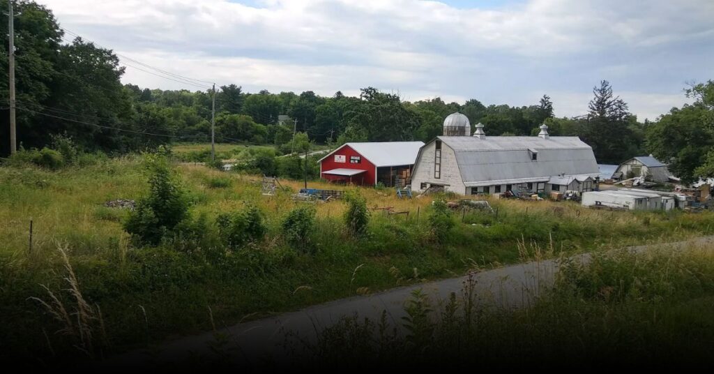 Soons Orchards (New Hampton)