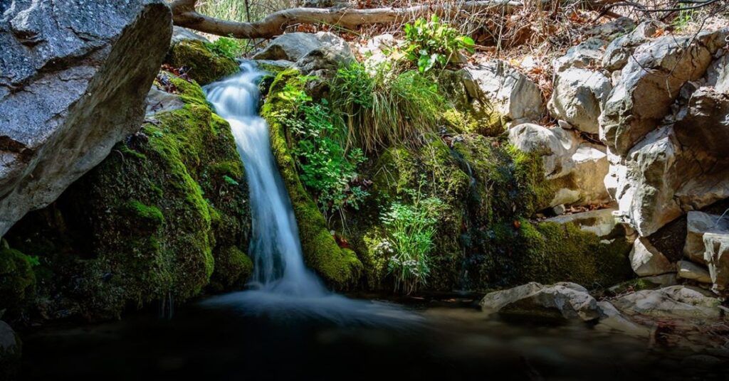 Southern Arizona Sky Island Loop