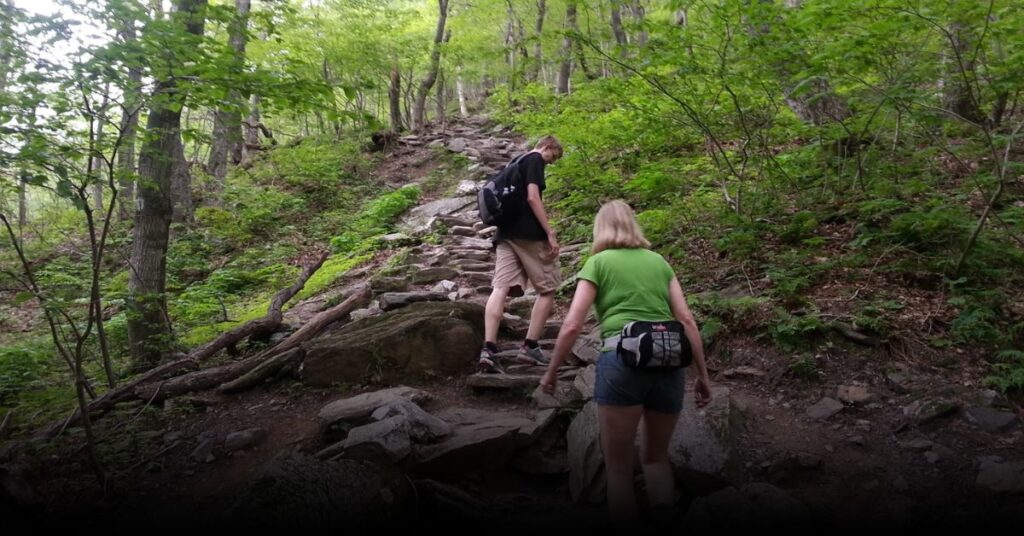 Sterling Pond Trail vermont