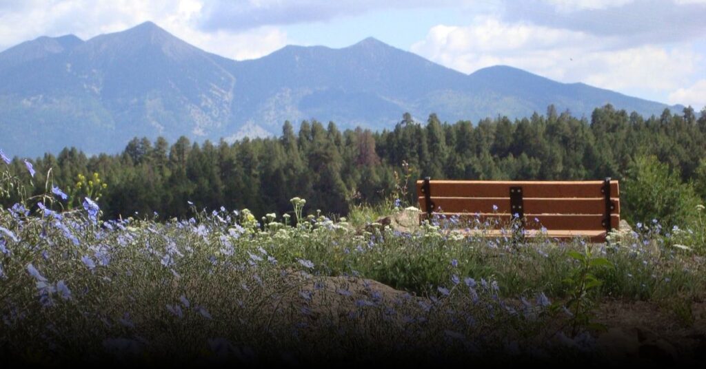 The Arboretum at Flagstaff