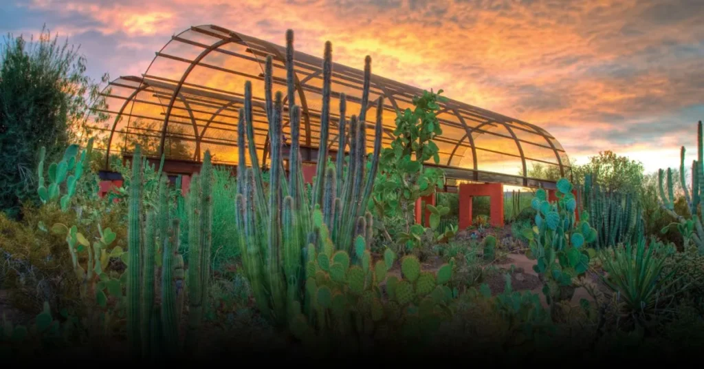 Things To Do in Phoenix For More Romance
