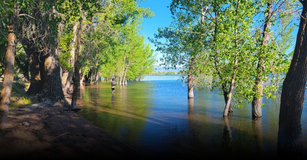 Twin Lakes Campgrounds
