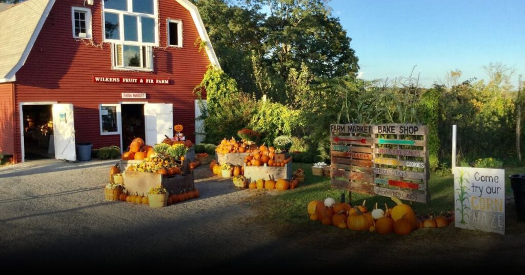Wilkens Fruit & Fir Farm (Yorktown Heights)