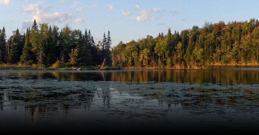 Woodford State Park