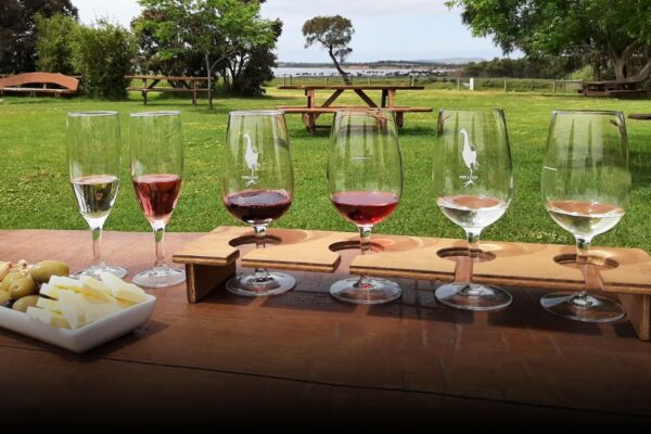 4 Best Wine Tasting Spots in Warwick Valley, New York (Fall 2025) 4 Best Wine Tasting Spots in Warwick Valley, New York (Fall 2025)