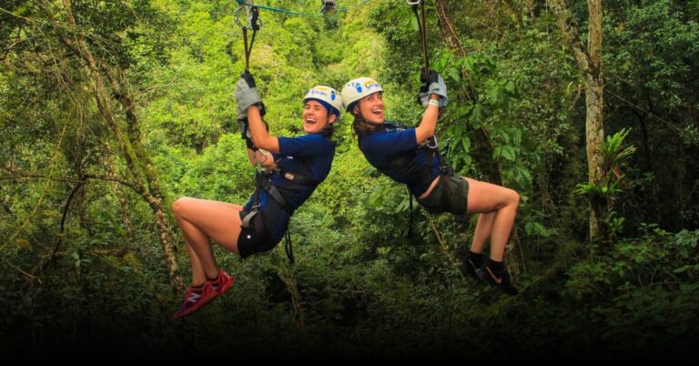 4 Best Ziplining Adventures in Hudson Valley 2025
