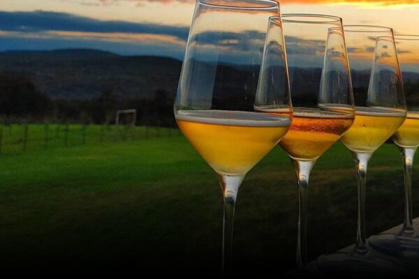 4 Top Cider Tasting Spots in Warwick Valley, New York (Fall 2025) 4 Top Cider Tasting Spots in Warwick Valley, New York (Fall 2025)