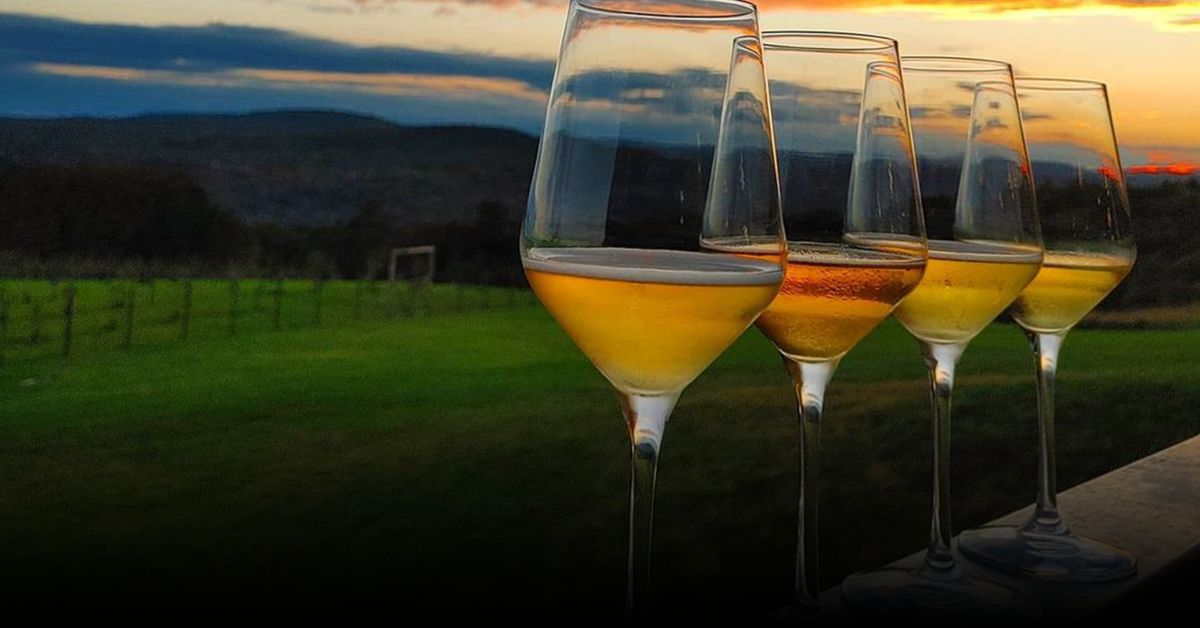 4 Top Cider Tasting Spots in Warwick Valley, New York (Fall 2025)