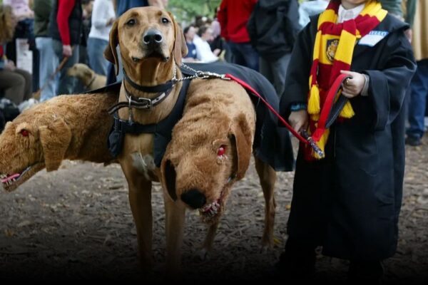 5 Best Halloween Parades in New York 2025: Your Ultimate Guide 5 Best Halloween Parades in New York 2025