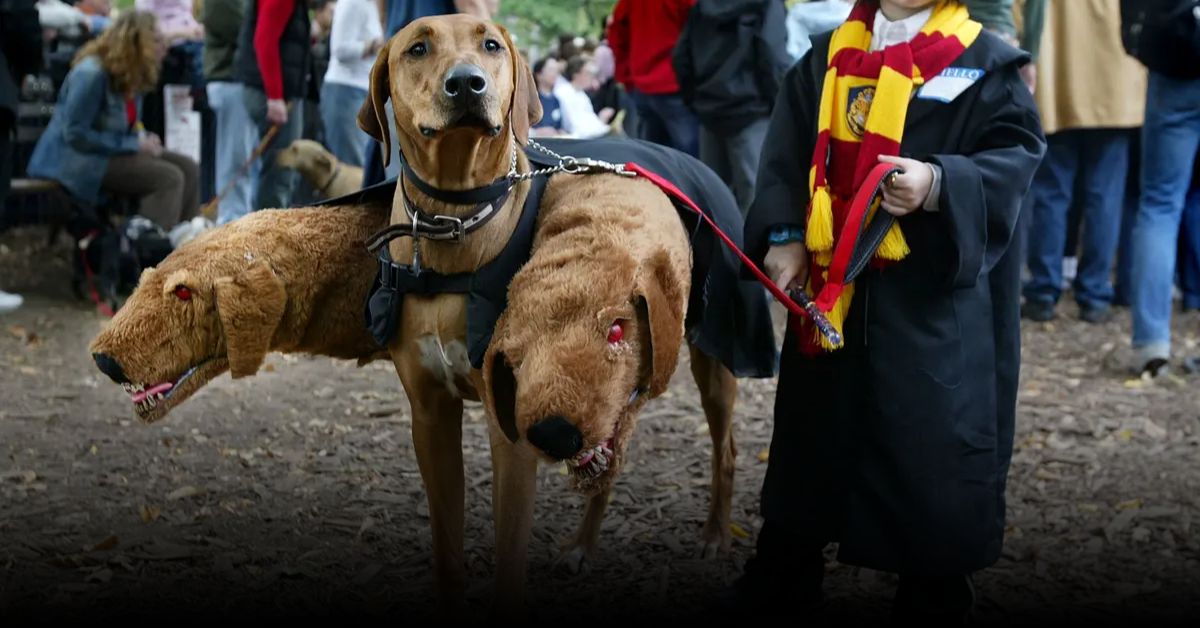 5 Best Halloween Parades in New York 2025