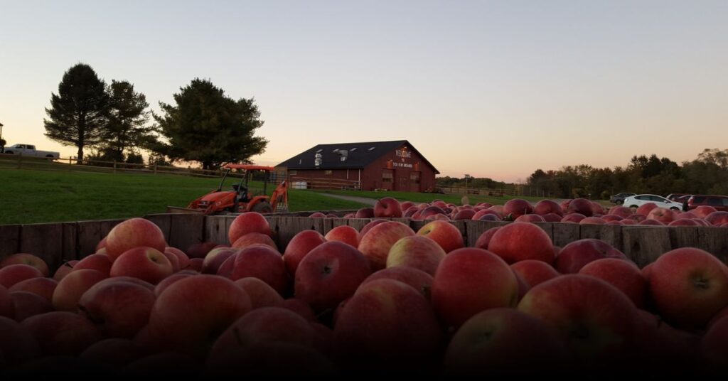 6 Best Apple Picking Spots Of Warwick Valley For Fall 2025 6 Best Apple Picking Spots Of Warwick Valley For Fall 2025
