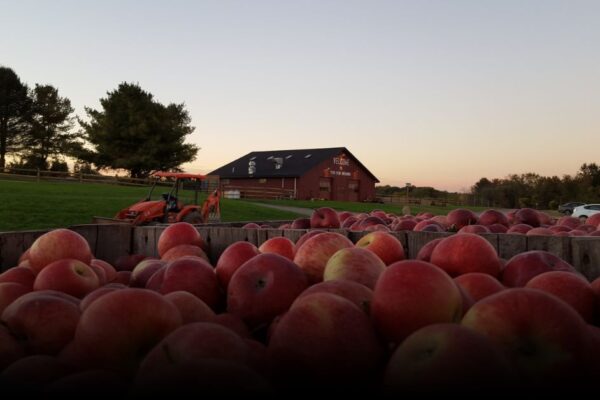 6 Best Apple Picking Spots Of Warwick Valley For Fall 2025 6 Best Apple Picking Spots Of Warwick Valley For Fall 2025