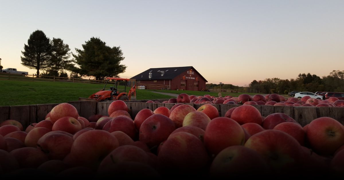 6 Best Apple Picking Spots Of Warwick Valley For Fall 2025