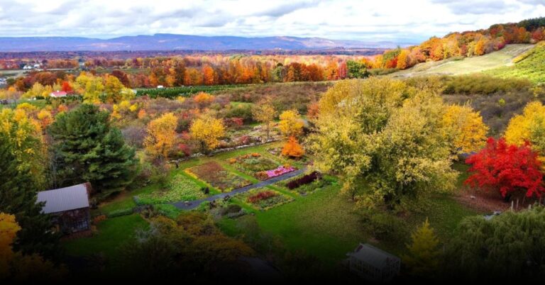 6 Best Apple Picking in Hudson Valley 2025: Where to Go This Fall