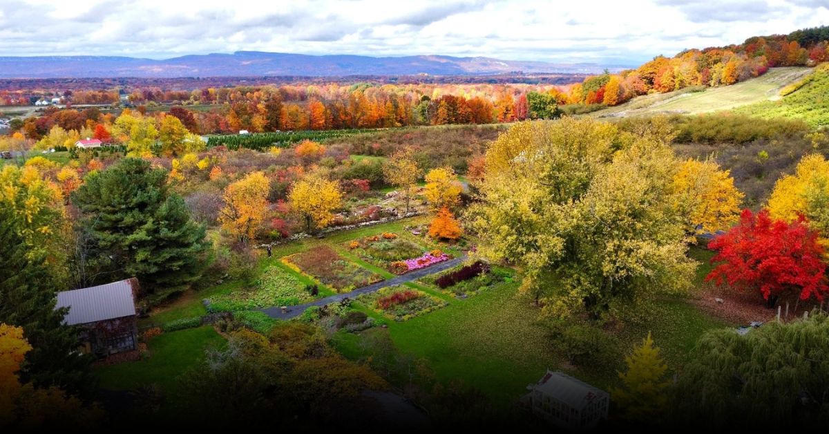 6 Best Apple Picking in Hudson Valley 2025 Where to Go This Fall