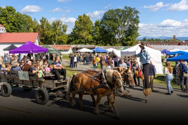 6 Best Harvest Festivals in New York for Fall 2025 6 Best Harvest Festivals in New York for Fall 2025