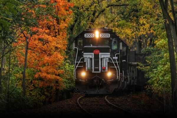 8 Best Finger Lakes Scenic Train Rides 2025 8 Best Finger Lakes Scenic Train Rides 2025