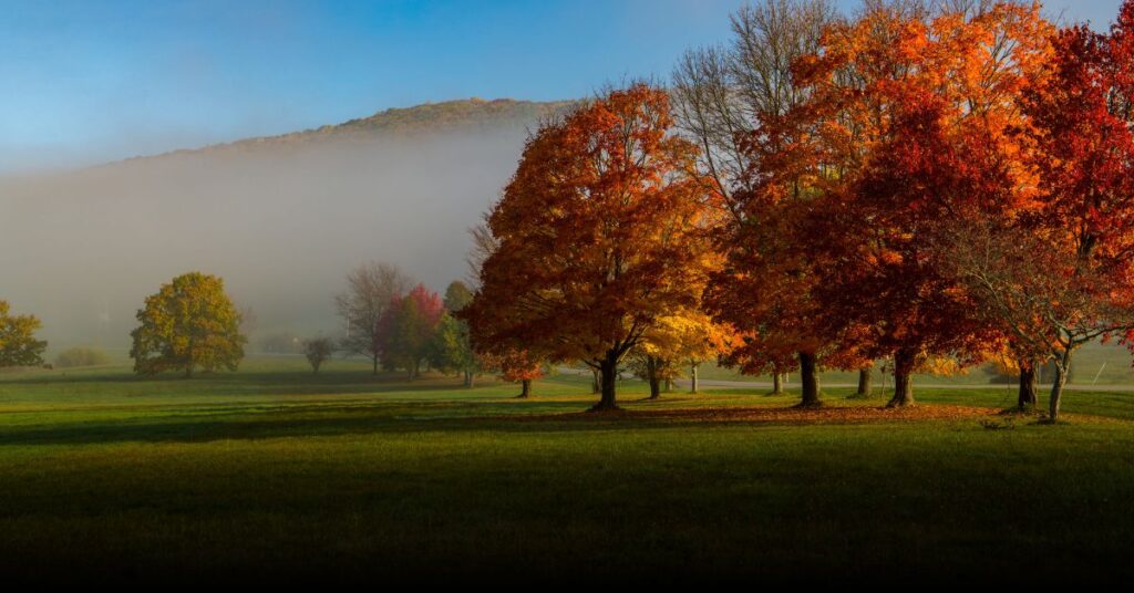 Allegany State Park – Quaker Area (Western NY)