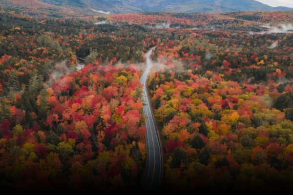 Best Scenic Drives in New Hampshire for Fall Foliage Best Scenic Drives in New Hampshire for Fall Foliage