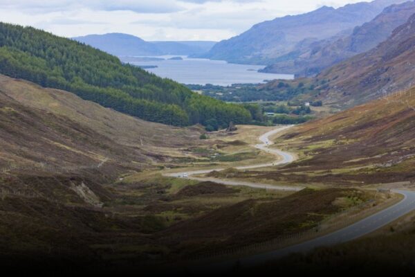 Best of the Best Scenic Drives in Warwick Valley, New York (Fall 2025) Best of the Best Scenic Drives in Warwick Valley, New York (Fall 2025)