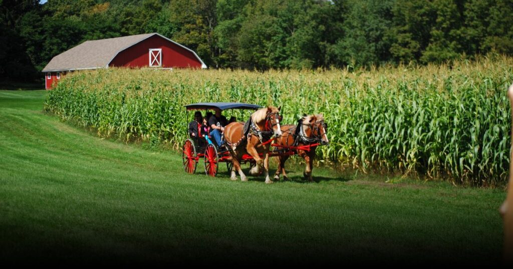 Bethel Woods Harvest Festival