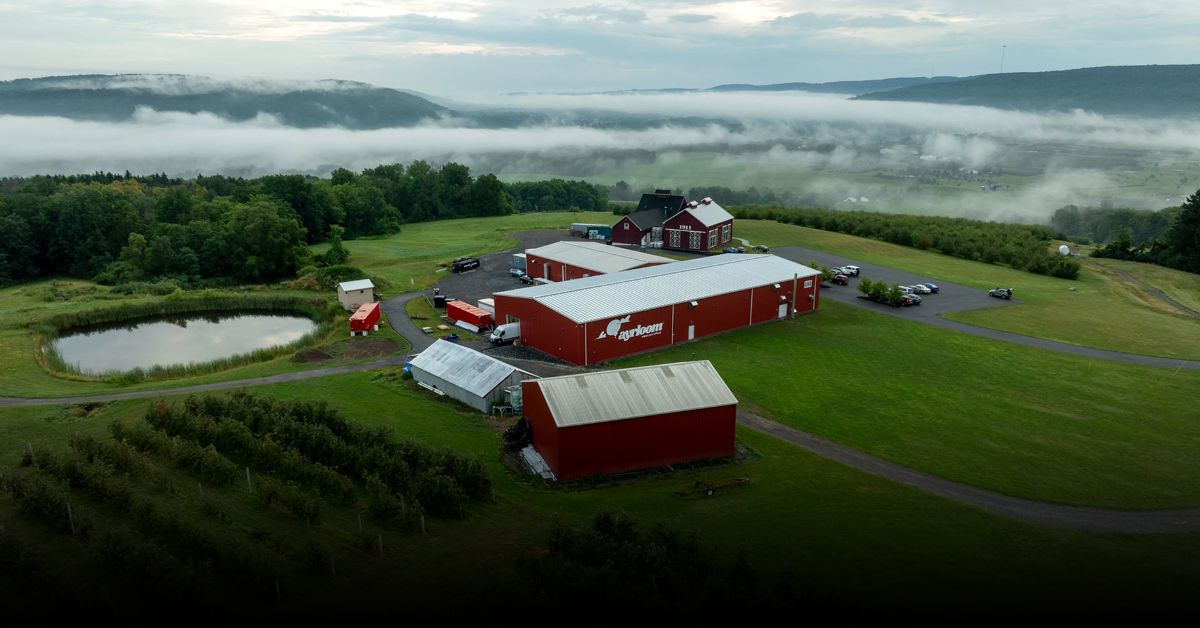Discover New York’s Top Cider Houses and Orchards