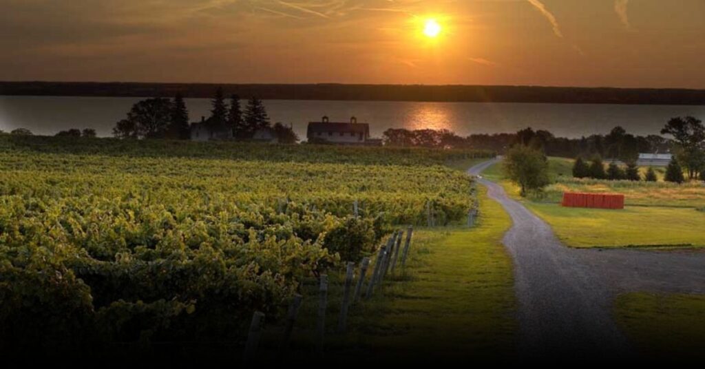Fox Run Vineyards – Seneca Lake Star