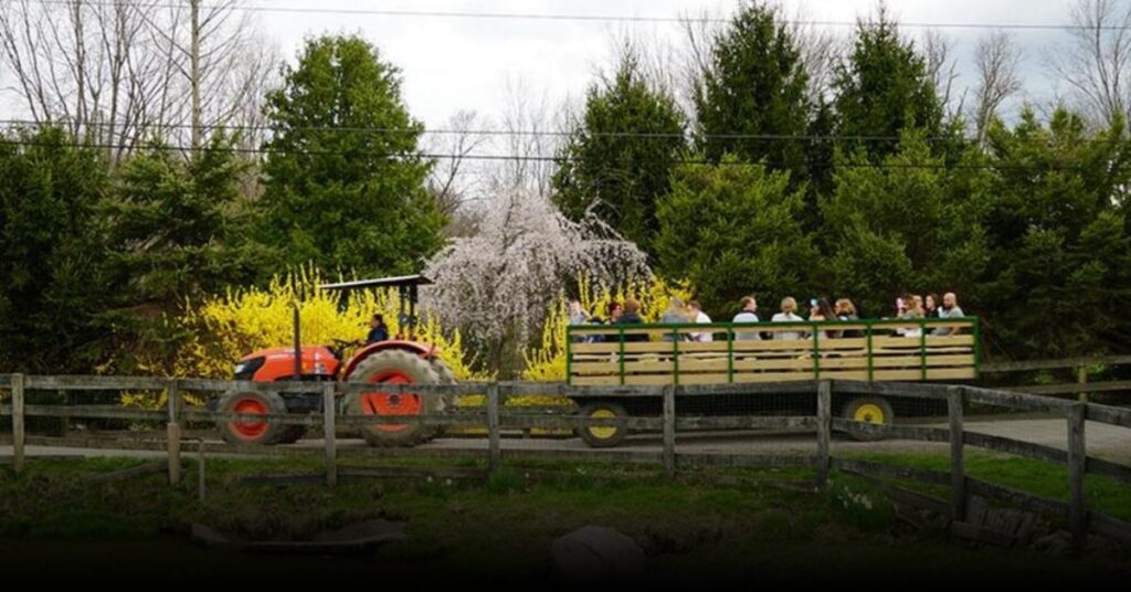 Harvest Moon Farm & Orchard (North Salem)