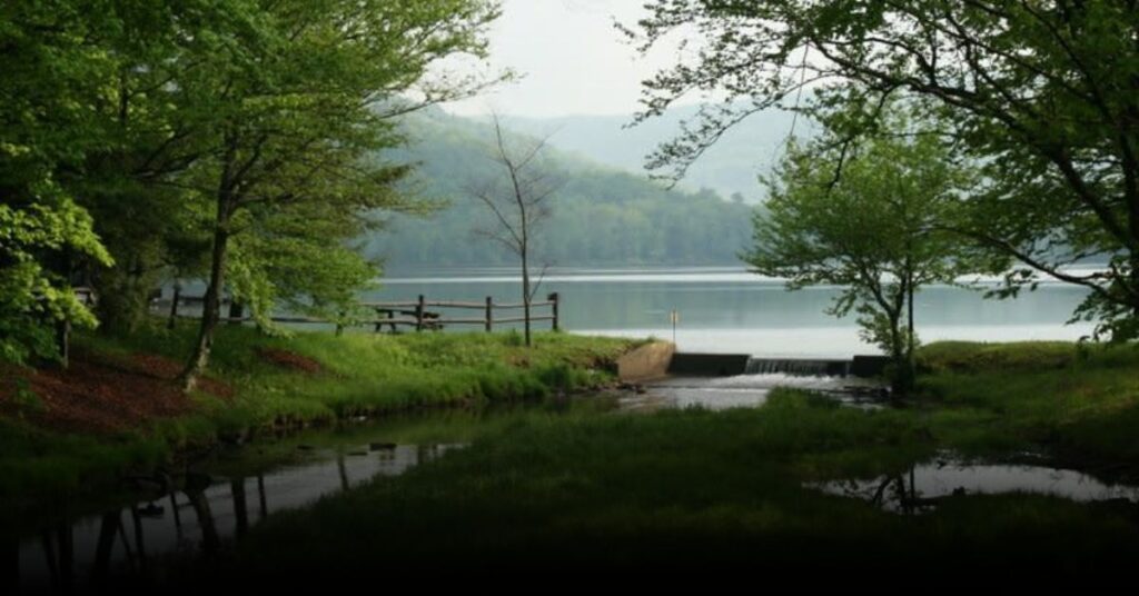 Mongaup Pond State Campground Stargazing