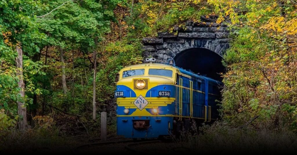 New York & Lake Erie Railroad