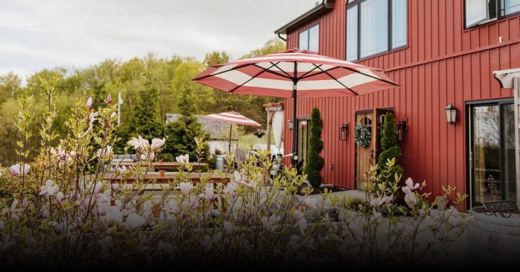 Nostrano Vineyards (Milton)