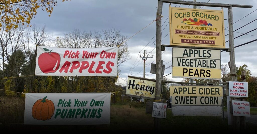 Ochs Orchard