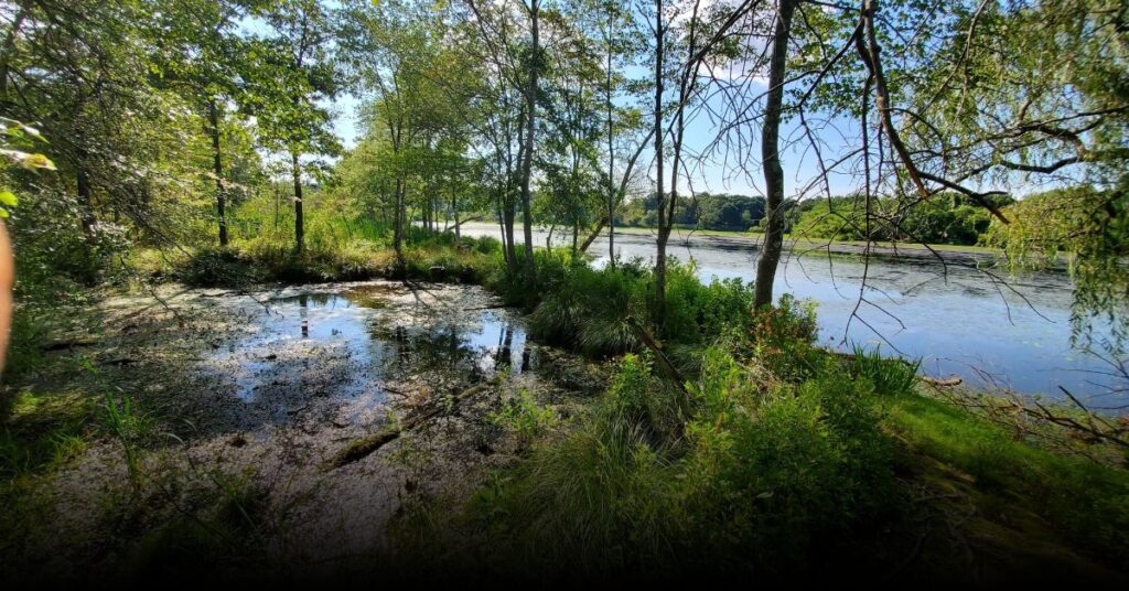 Peconic River Campgrounds (Long Island)