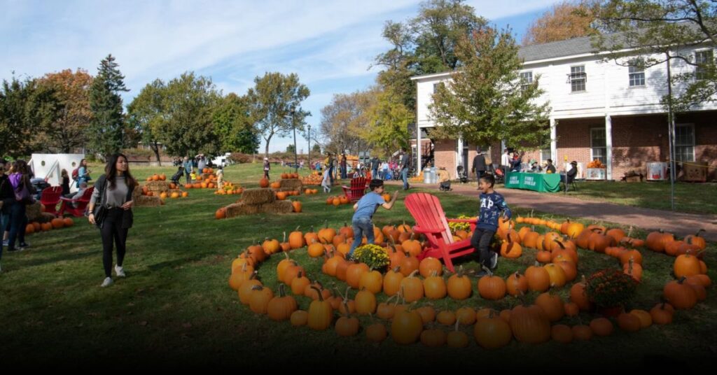 Pumpkin Point at Governors Island