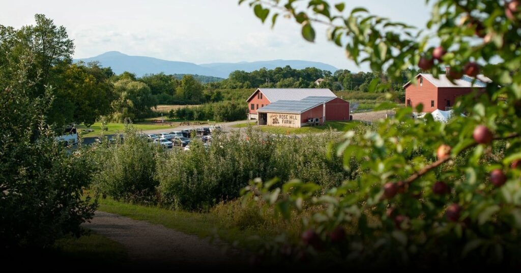 Rose Hill Farm – Red Hook