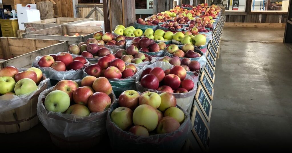 Schutt’s Apple Mill, Webster