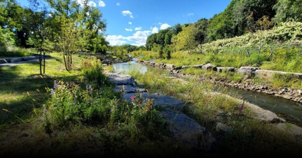 Tivoli Bays Wildlife Management Area