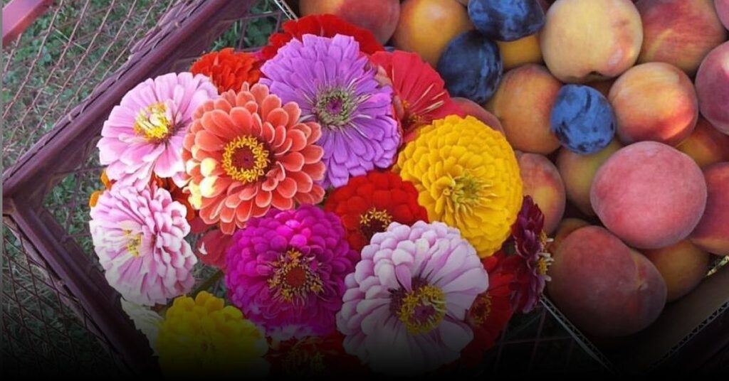 Weed Orchards & Winery – Marlboro, NY